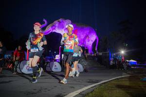 BIB: 
                            <button type="button" onclick="openModal(26551767)" class="btn btn-primary btn-sm float-right btn-popup" data-toggle="modal" data-target=".modal-high-quality">
                        <i class="fas fa-shopping-cart"></i> Add to Cart
                    </button>
                                            <button type="button" onclick="isThisMe(26551767, true)" class="btn btn-success btn-sm float-right btn-popup btn-isme hidden" data-toggle="tooltip" data-placement="bottom" title="นี่คือรูปของคุณใช่ไหม คลิกที่นี่เพื่อเอาเข้าอัลบั้ม">
                        <i class="fas fa-plus"></i> Add to album
                    </button>
                    <button type="button" onclick="isThisMe(26551767, false)" class="btn btn-warning btn-sm float-right btn-popup btn-isnotme hidden">
                        <i class="fas fa-ban"></i> Remove from album
                    </button>